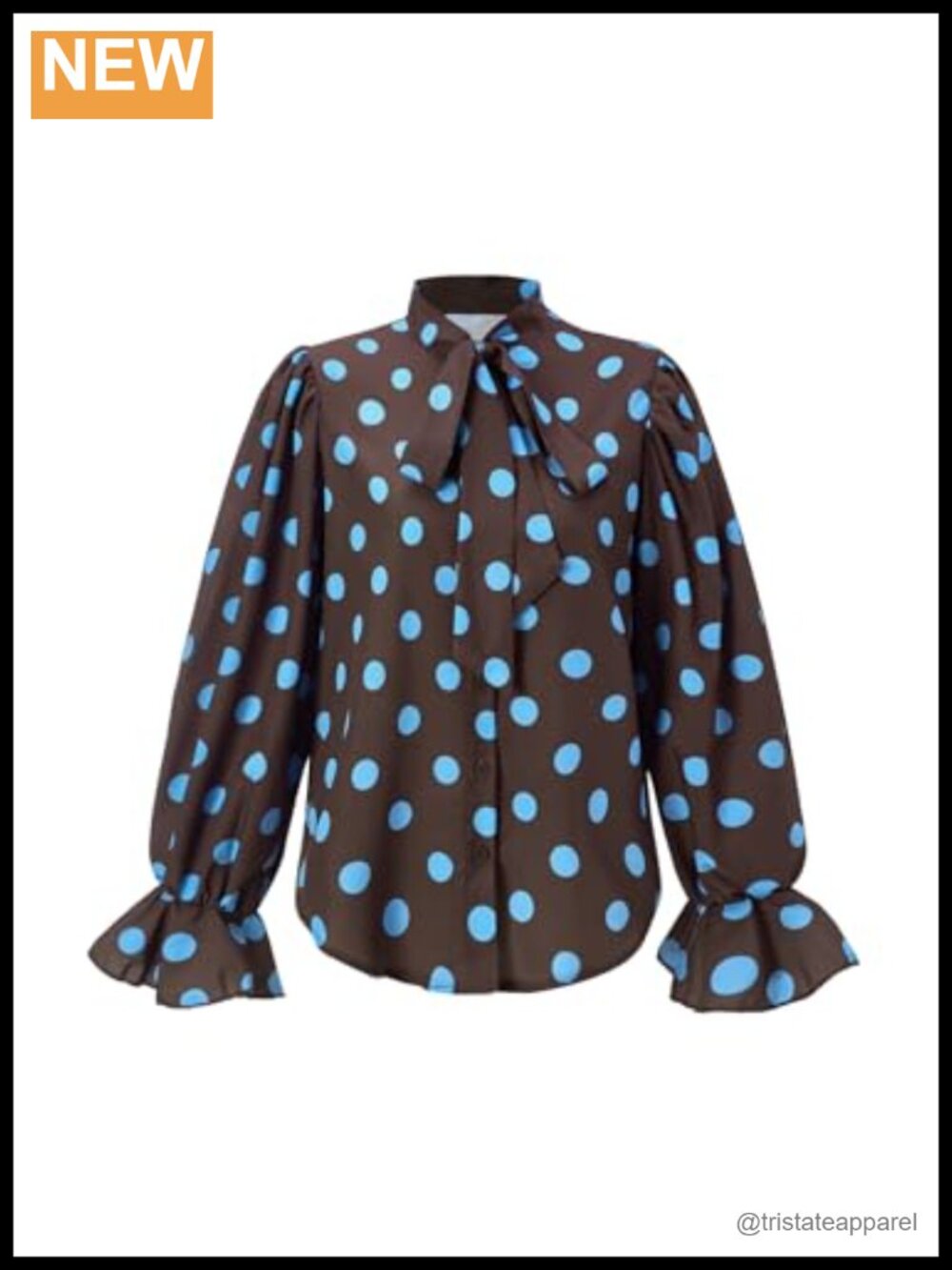 Polka Dot Tie Neck Ruffle Button Down Long Sleeve Blouse Women's Puff Sleeve Top